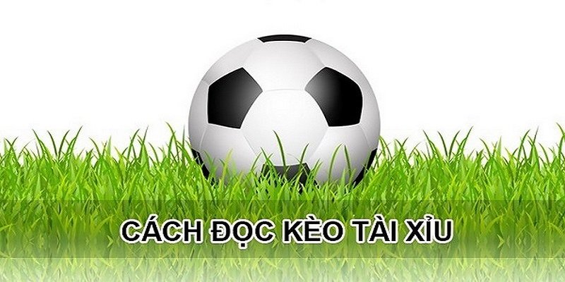 Đọc kèo chuẩn xác với abc8